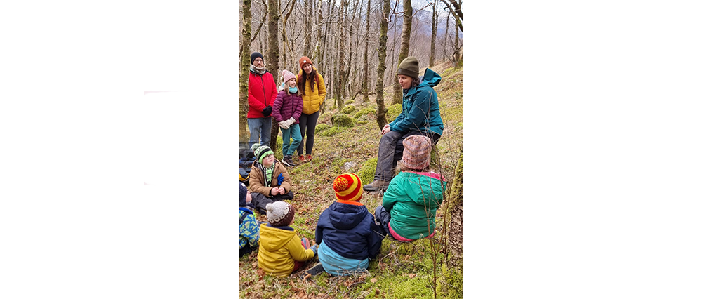 FWMF 2025 - Discover rainforest walk v2