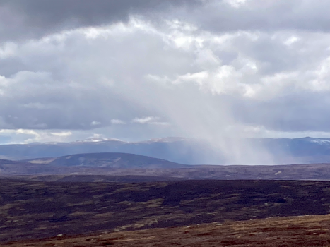 Neil Spence - Mount Keen