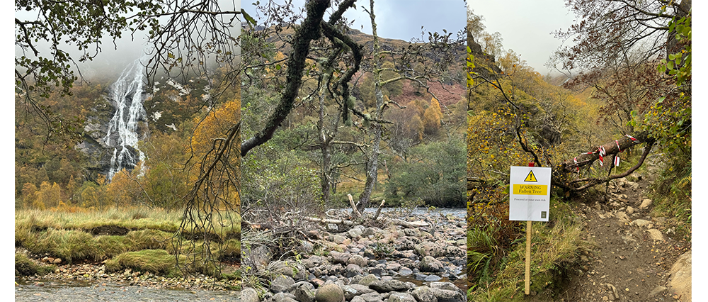Nevis after Storm Amy 1