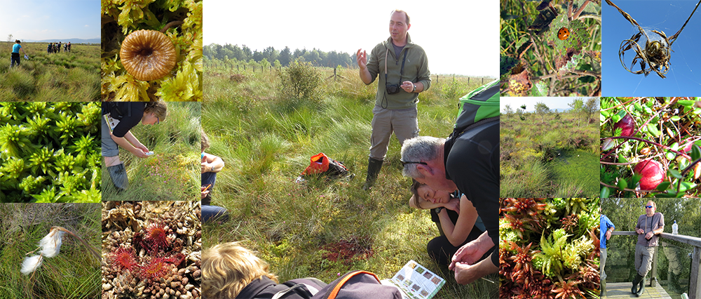 Stuart Brooks at Flanders Moss 2014